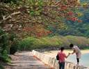 加計呂麻島(諸鈍) 加計呂麻島(諸鈍)