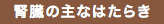 Title Alt tag