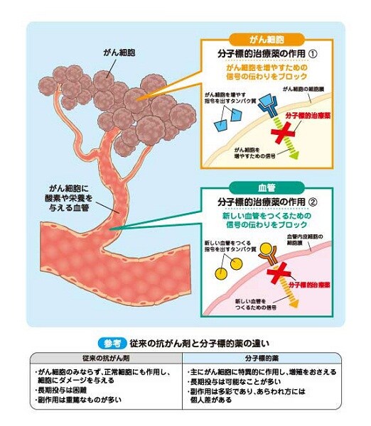 図10. 分子標的治療薬の作用 図10. 分子標的治療薬の作用