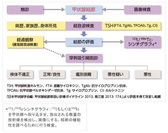 図6.甲状腺結節診断フローチャート 図6.甲状腺結節診断フローチャート