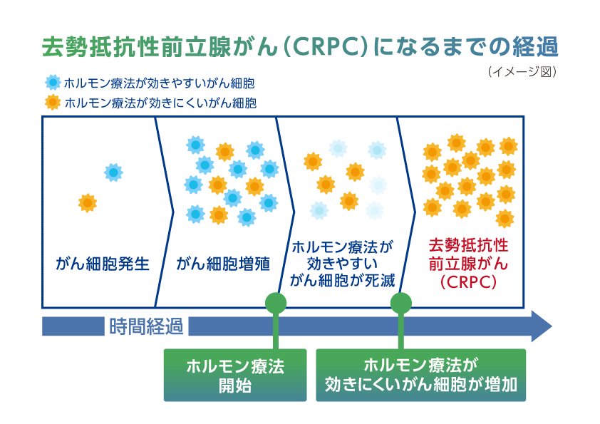 去勢抵抗性前立腺がん（CRPC）になるまでの経過