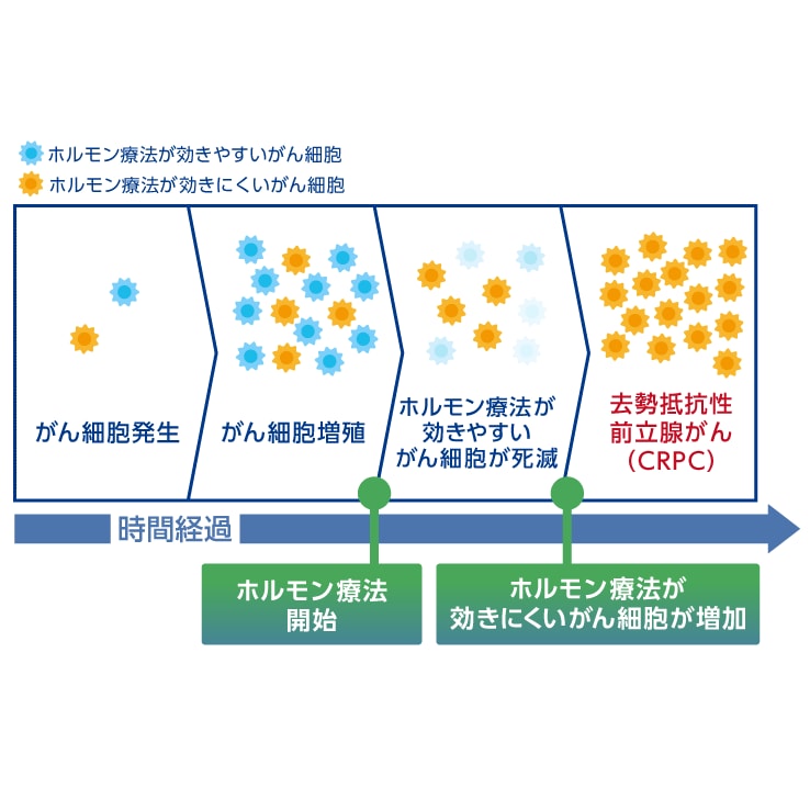 去勢抵抗性前立腺がんについて