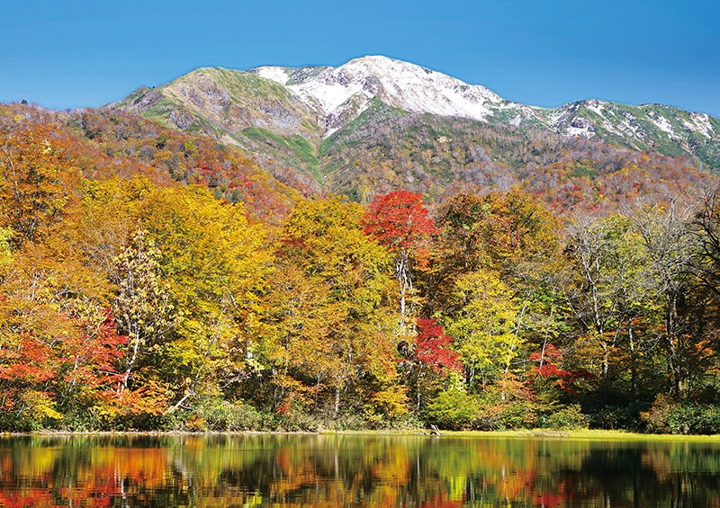 白山国立公園 白山国立公園