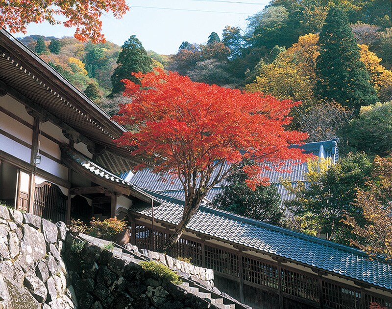 永平寺 永平寺