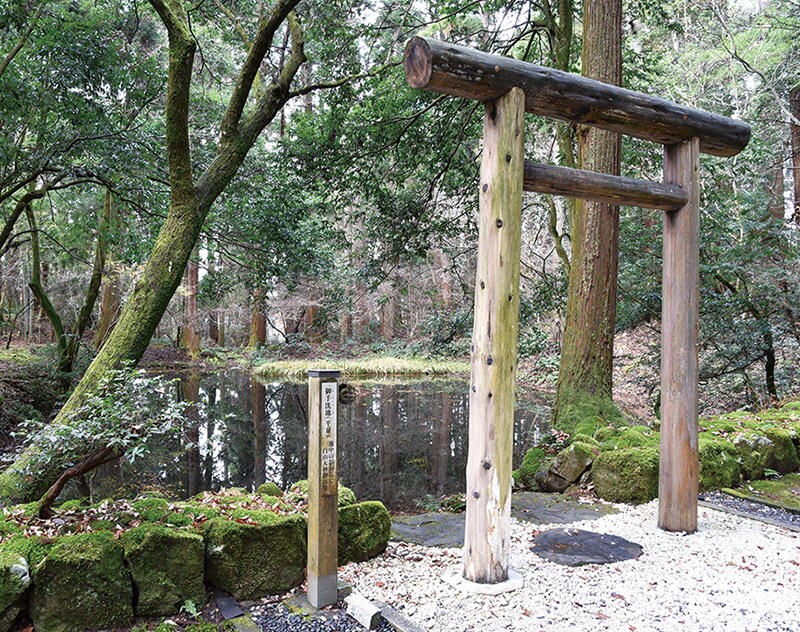 平泉寺白山神社 平泉寺白山神社