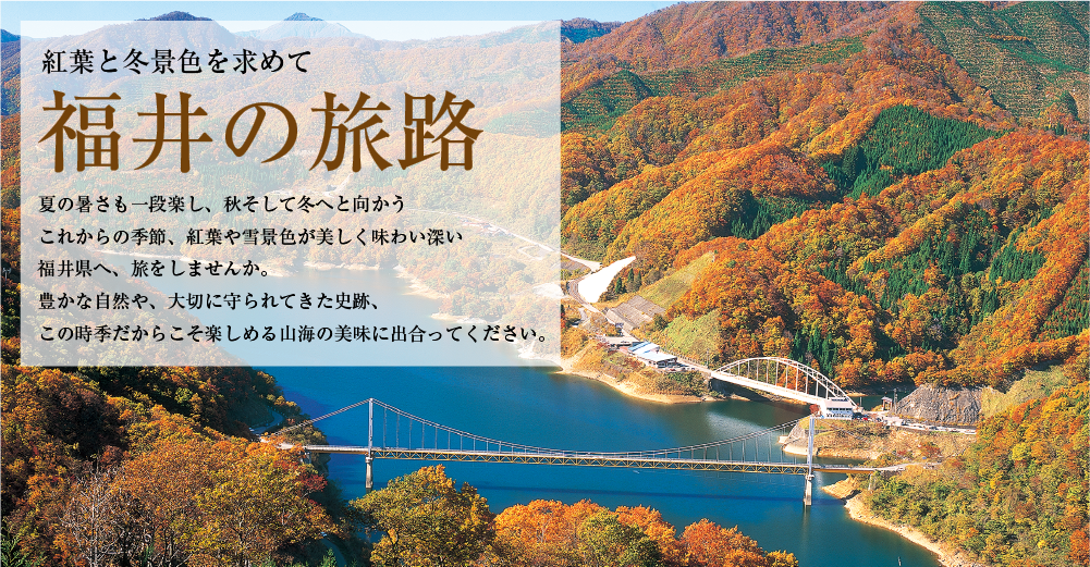 紅葉と冬景色を求めて 福井の旅路 旅 うみ 透析患者さんの毎日を応援する情報サイト