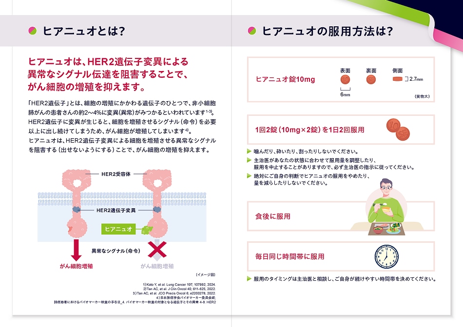 服用の手引き